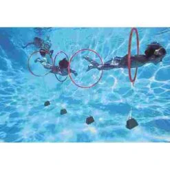 Sport-Thieme Diving Hoop Game -Swimming Equipment Sale 112 6206
